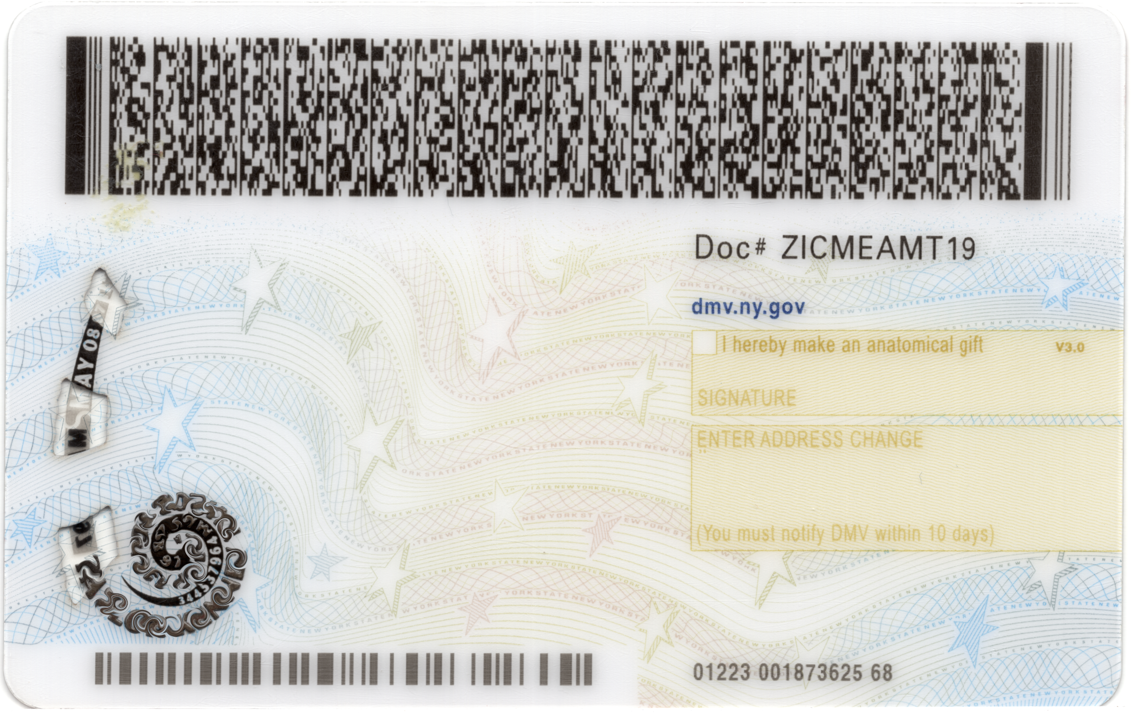 Back of NY ID